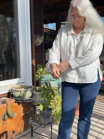 Pierce Shirt by Goldfinch Studio