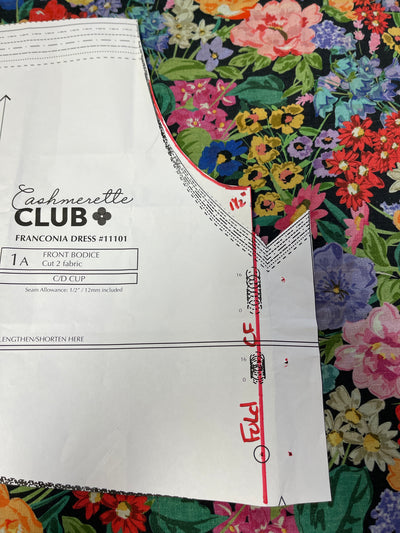 Franconia Dress by Cashmerette